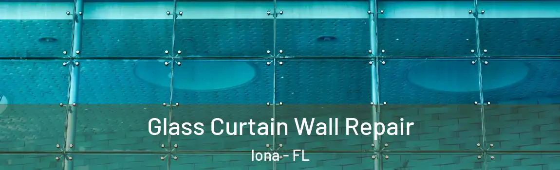 Glass Curtain Wall Repair Iona - FL