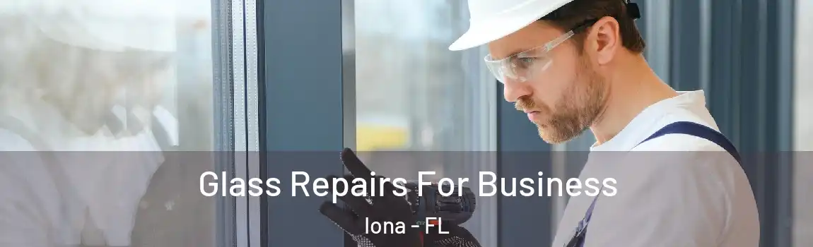 Glass Repairs For Business Iona - FL