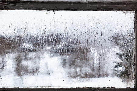Defogging Double Pane Windows in Iona, FL
