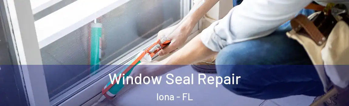 Window Seal Repair Iona - FL